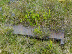 
Cwmbyrgwm Colliery, Bits and pieces of the Water Balance, June 2013